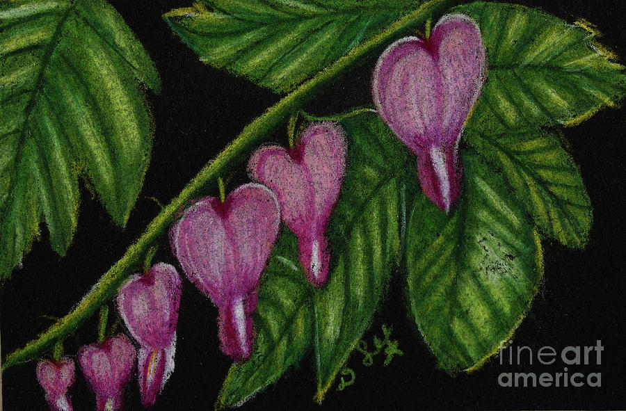 Bleeding Hearts #2 Painting by Dorothy Lee