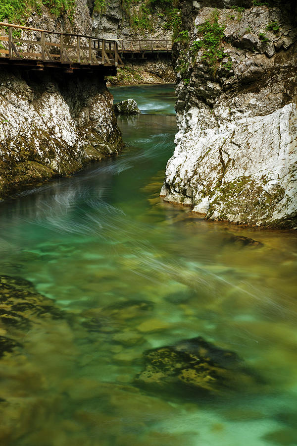 Blejski Vintgar Gorge, Gorje, Near Bled, Slovenia Photograph