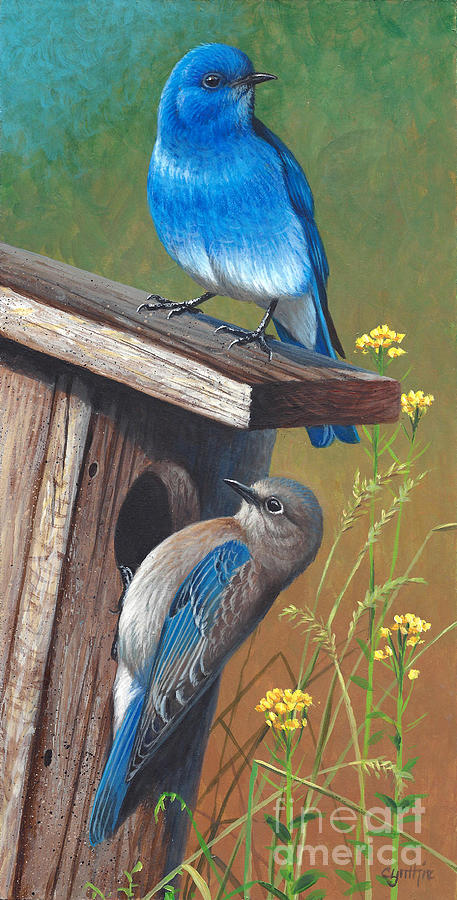 Blue Birds Painting By Cynthie Fisher 