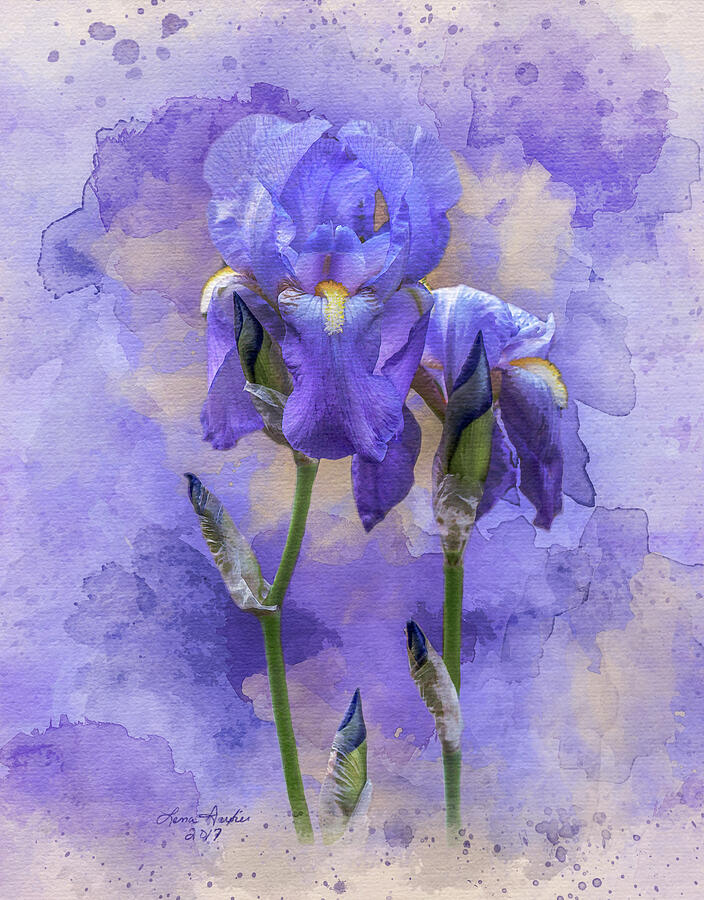 Blue Iris #2 Digital Art by Lena Auxier