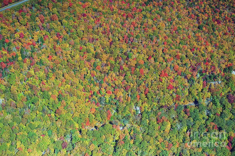 Blue Ridge Parkway Vertical Aerial View of Autumn Colors #2 Photograph by David Oppenheimer