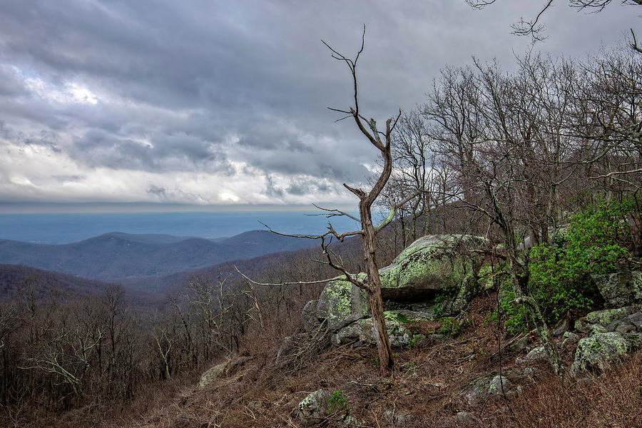 Blue Ridge View #2 Photograph by Alan Raasch
