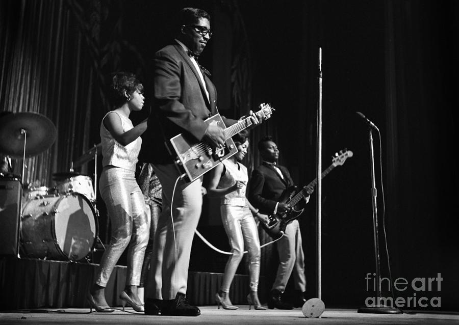 Bo Diddley Photograph by Action