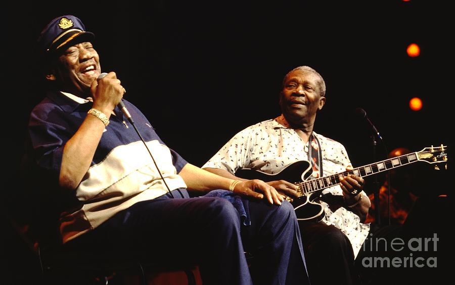 Bobby Bland and B.B. King Photograph by Concert Photos - Pixels