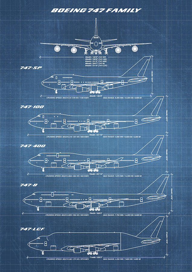 Boeing 747 Family Blueprint - light blue Drawing by Ryan Steven Horowitz.