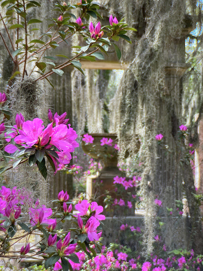 Spring Photograph - Bonaventure Cemetery, Savannah, Georgia #2 by Dawna Moore Photography