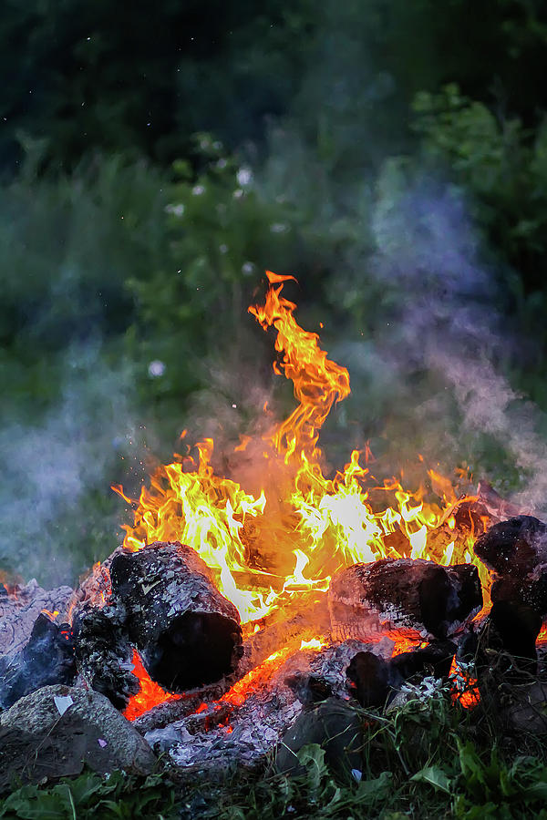 Nature Photograph - Bonfire at a camp in summer evening outdoors #2 by Olga Strogonova