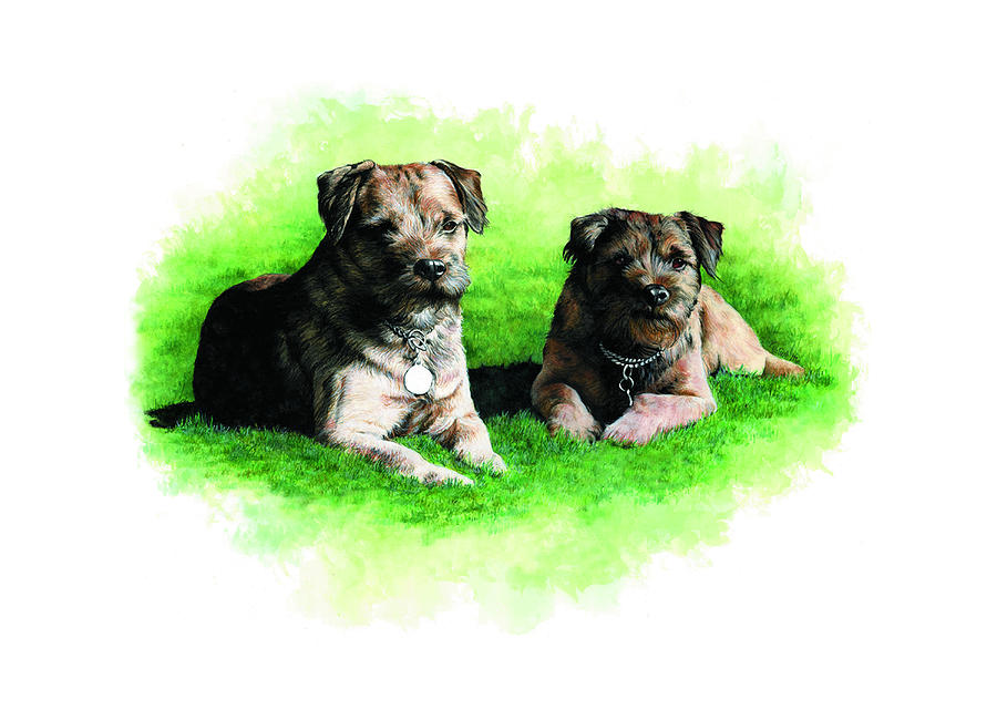 Two Loved Border Terriers Painting by Patrice Clarkson