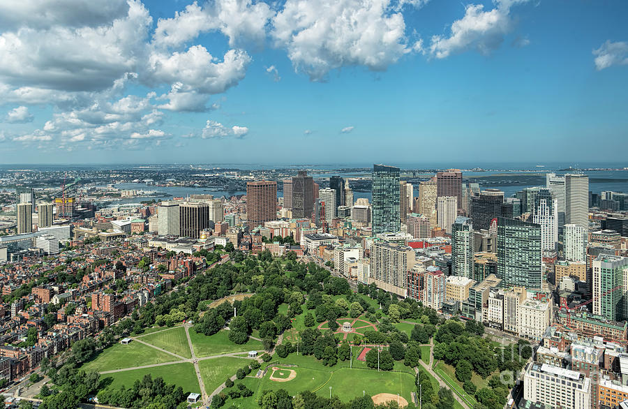 Boston Common and City Skyline Aerial #3 Photograph by David Oppenheimer