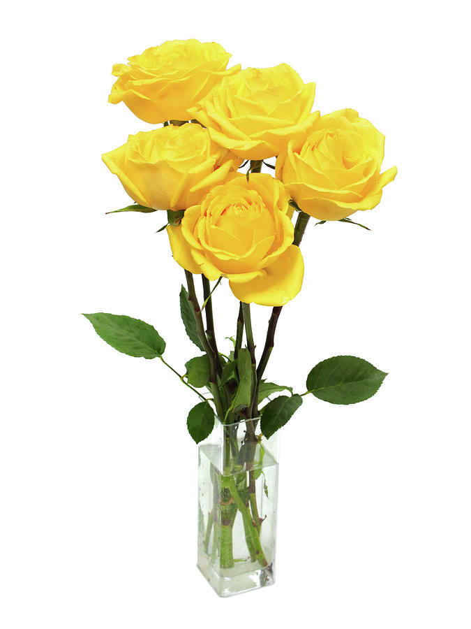 Bouquet Of Yellow Roses #2 Photograph by Mikhail Kokhanchikov