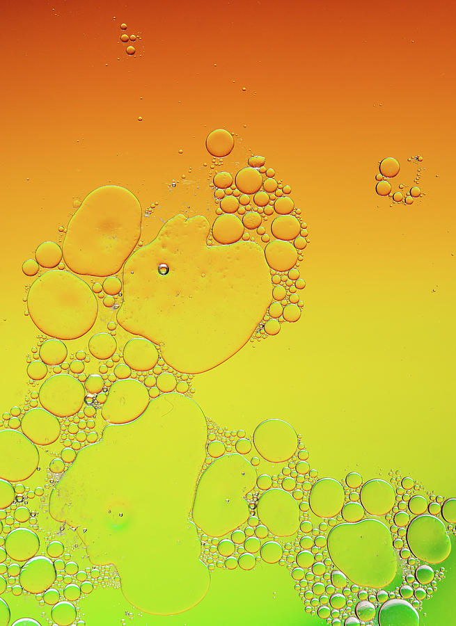 Bright abstract, yellow background with flying bubbles #5 Photograph by Michalakis Ppalis