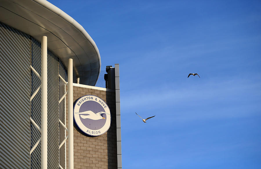 Brighton & Hove Albion v AFC Bournemouth - Sky Bet Championship #2 Photograph by Charlie Crowhurst