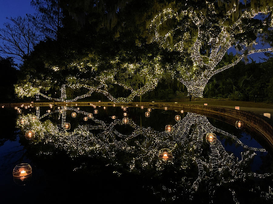 Brookgreen Gardens Festival of a Thousand Candles #3 Photograph by Dawna Moore Photography