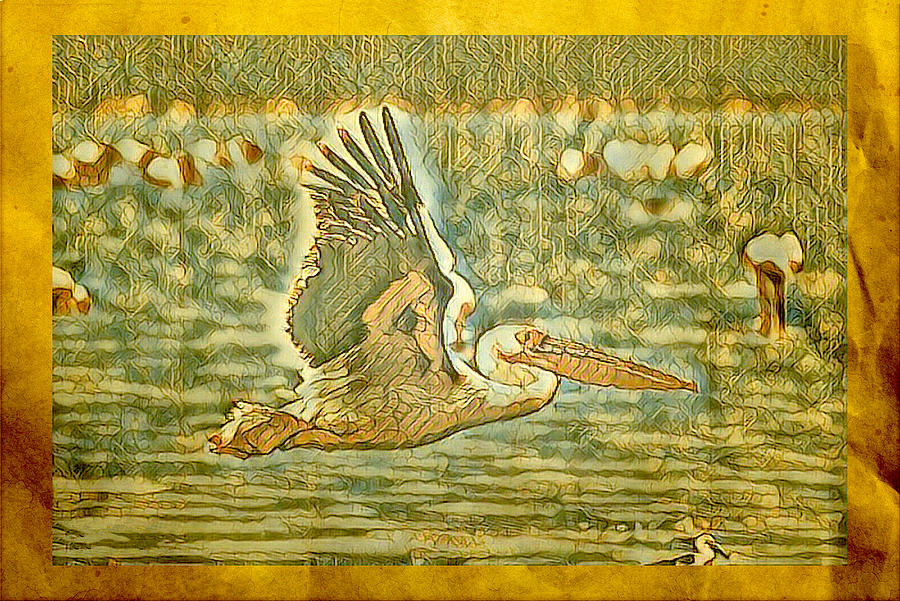 Abstract Digital Art - Brown Pelican #2 by Steven Parker