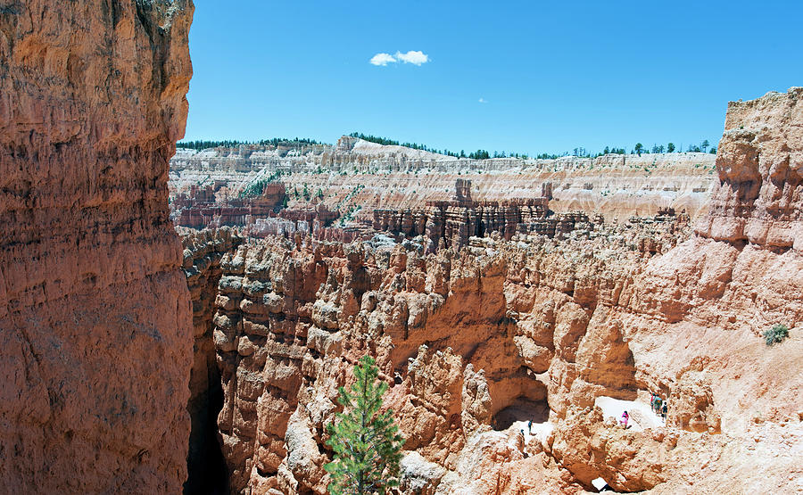 Bryce Canyon National Park  #2 Photograph by David Oppenheimer