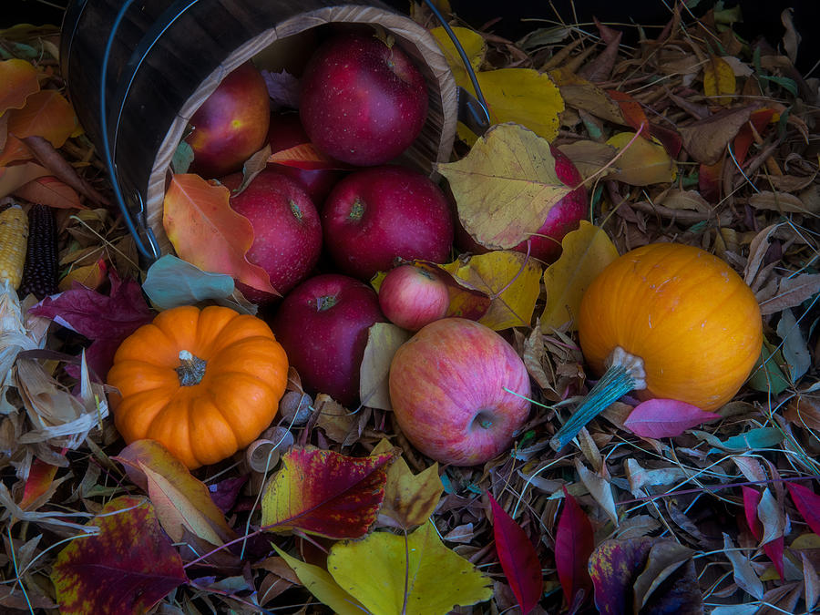 Bucket of assorted apples turned over by Alessandra RC Bucket of assorted apples turned over by Alessandra RC