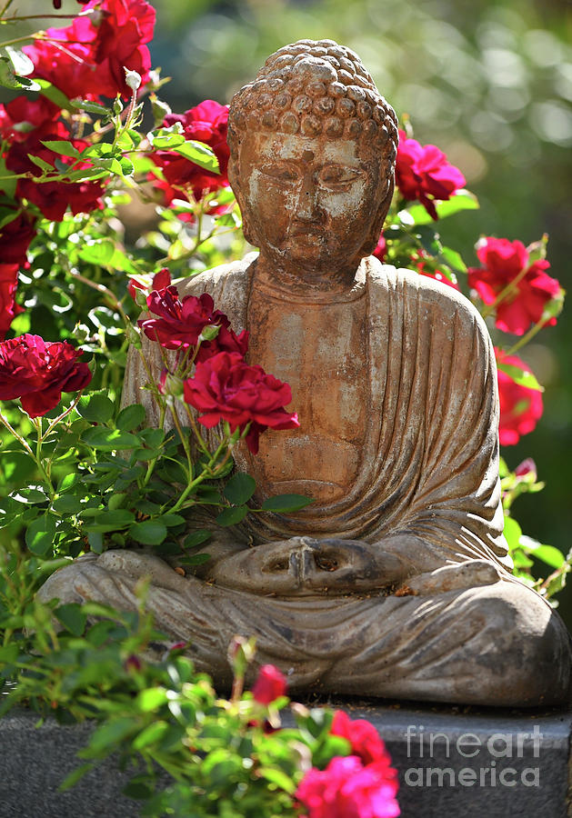 Buddha #2 Photograph by Marc Bittan