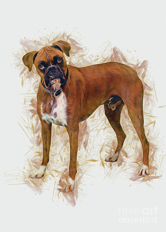 Bulldog Art #2 Painting by Ian Mitchell