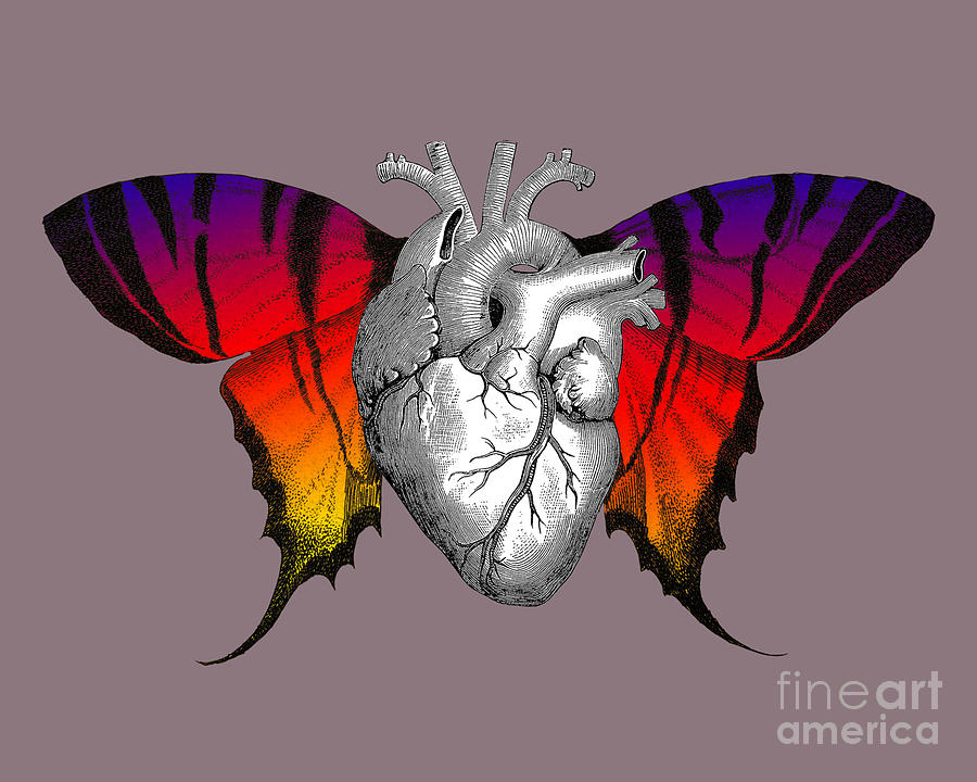 Butterfly Digital Art - Butterfly Heart #2 by Madame Memento