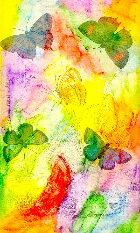 Butterfly Illustration #2 Digital Art by Steven Parker