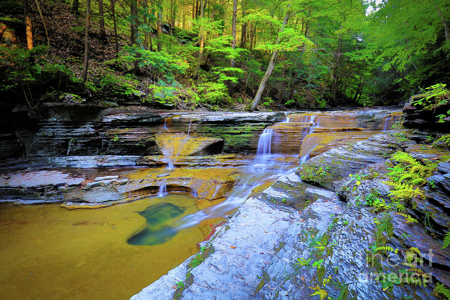 Buttermilk Falls Photograph By James Seward 