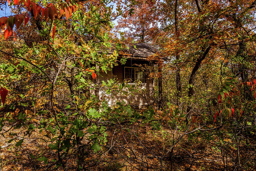 Cabin in the woods #2 Photograph by Doug Long