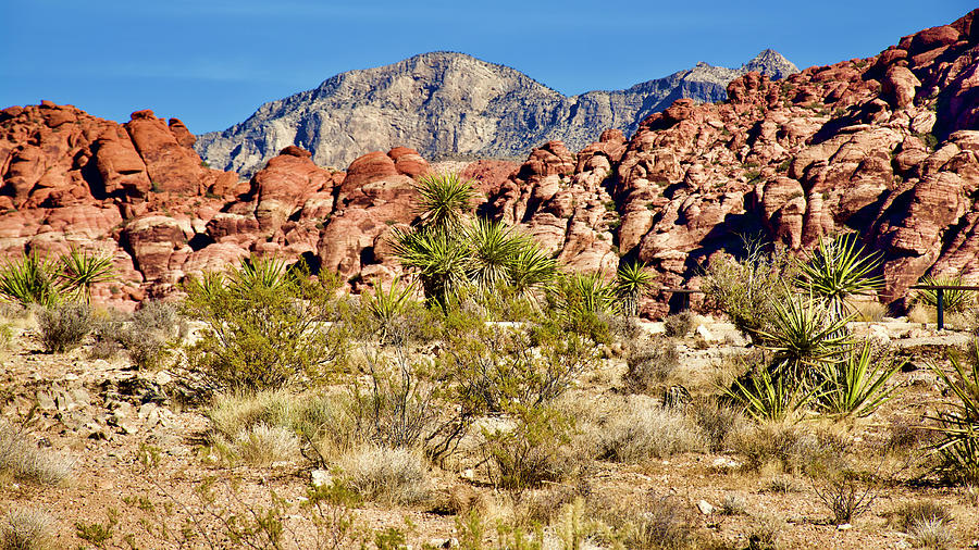 Calico Hills in Red Rock Canyon National Conservation Area, Nevada ...