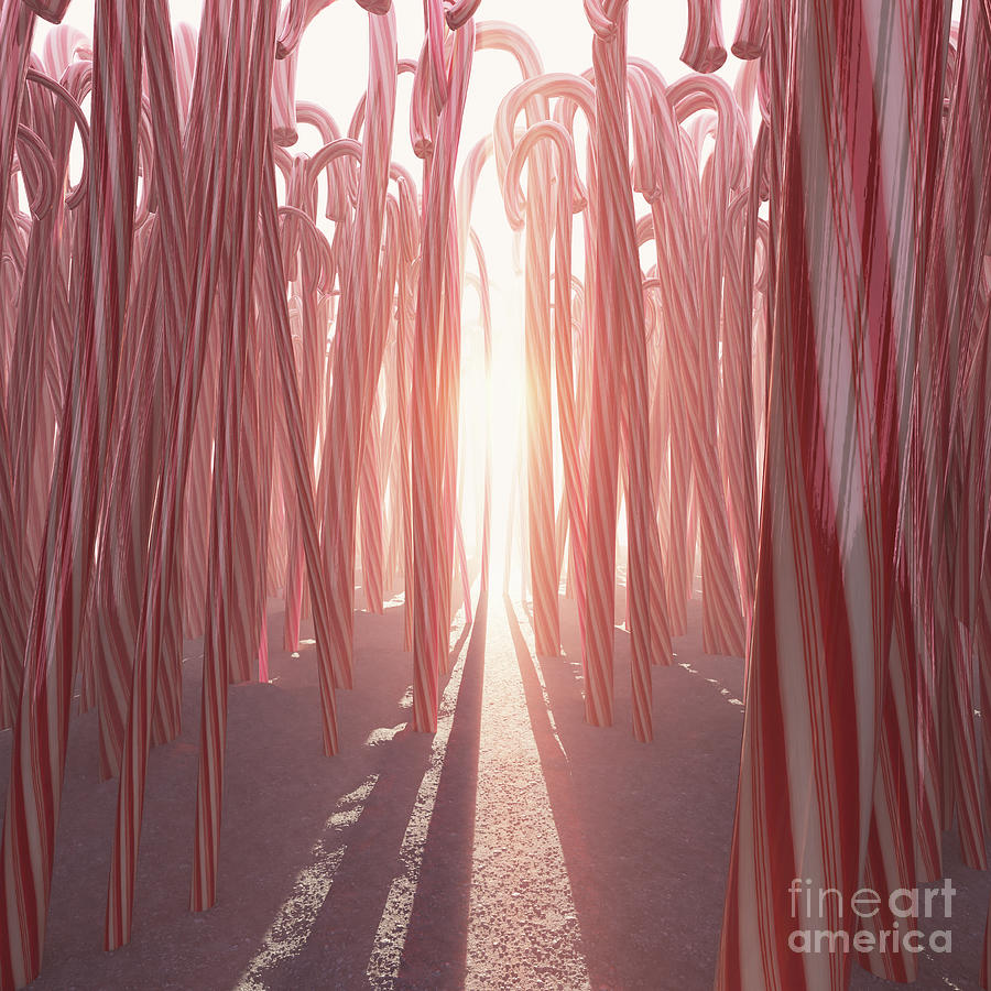 Candy Cane Forest Digital Art