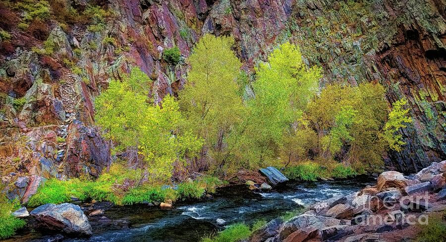 Fall Photograph - Big Thompson Canyon Color by Jon Burch Photography