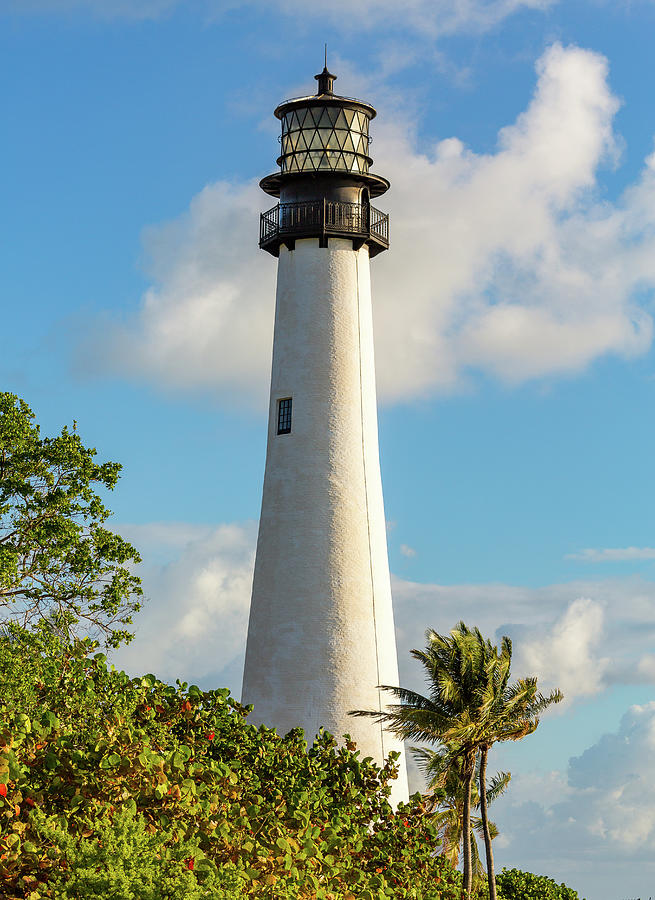 Cape Florida lighthouse in Bill Baggs Photograph by Steven Heap - Fine ...