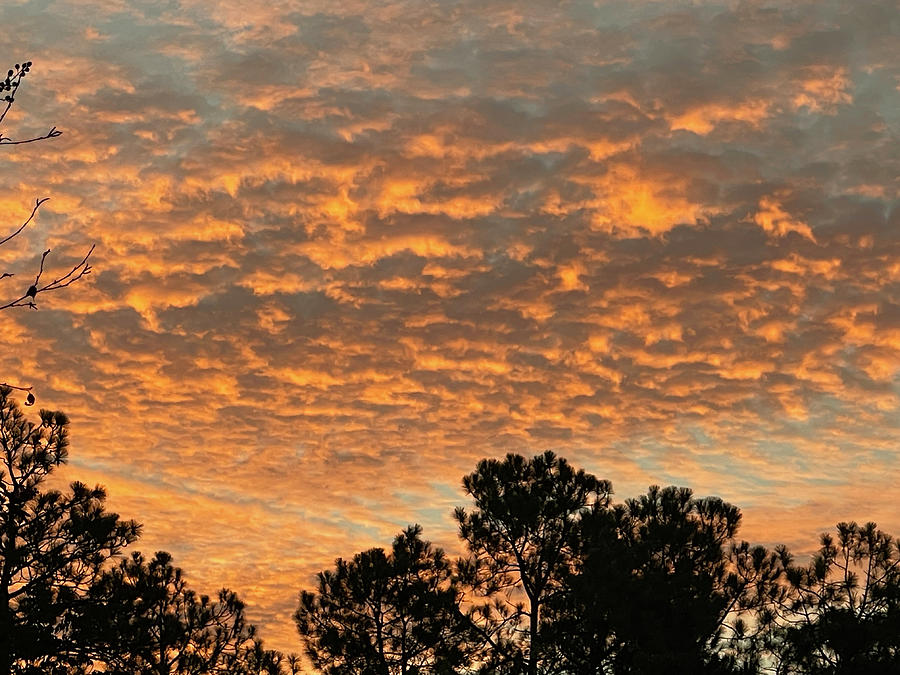 Carolina Sunrise #2 Photograph by Matthew Seufer