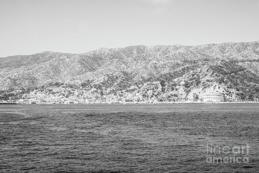 Catalina Island Black and White Photo #2 Photograph by Paul Velgos