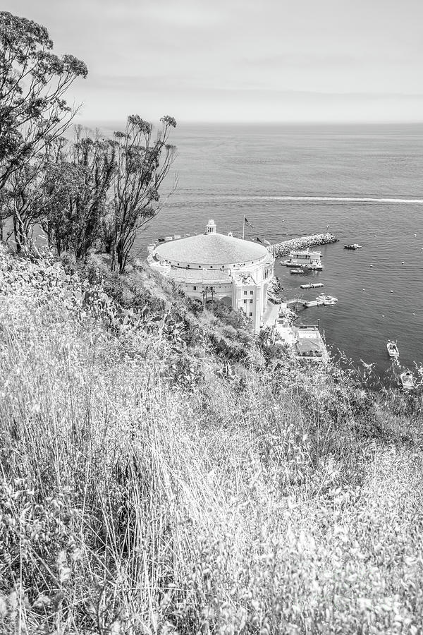 Catalina Island Casino Black and White Photo #2 Photograph by Paul Velgos