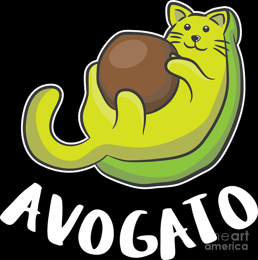 jelly cat avocado