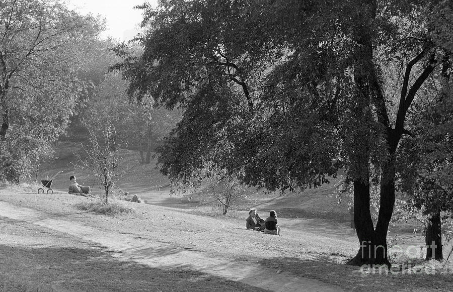 Central Park, New York, 1949 #2 Photograph by Angelo Rizzuto