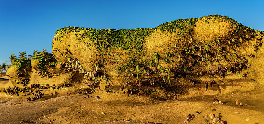 Cerritos Beach Rocks #2 Photograph by Tommy Farnsworth
