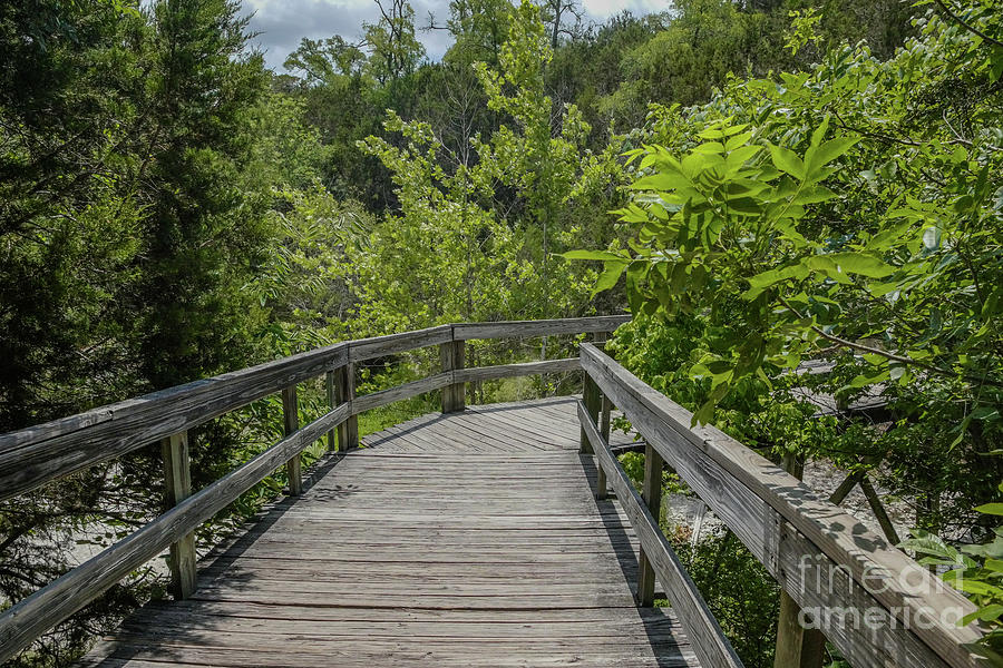 Chalk Ridge Falls Park Photograph by DLGoldstein Photography - Fine Art ...