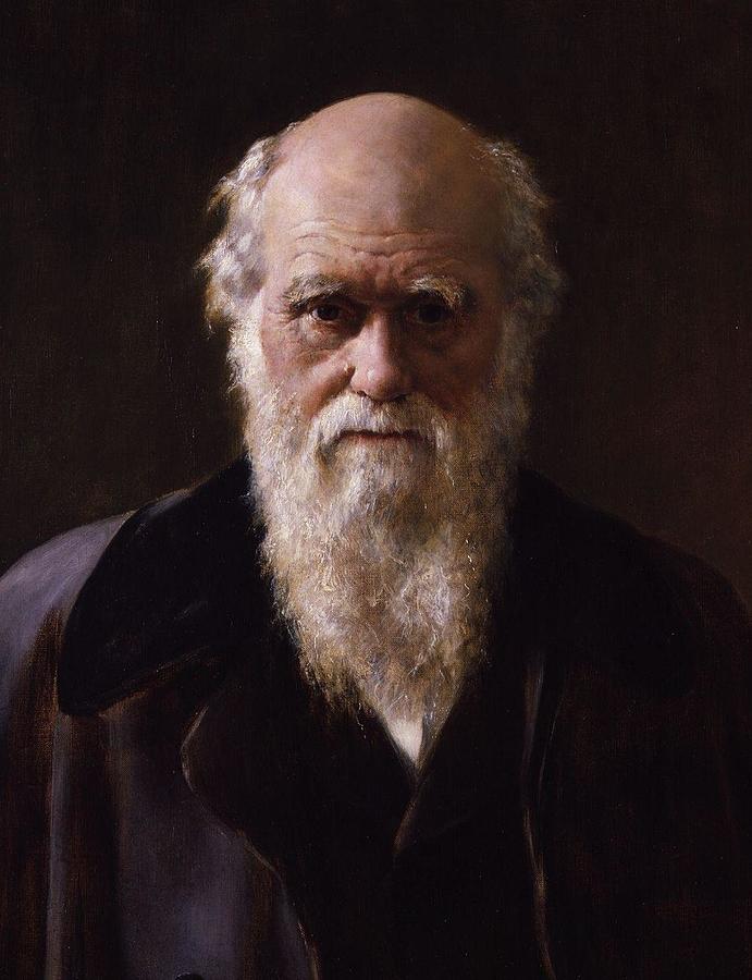 Charles Darwin Painting by John Collier - Fine Art America