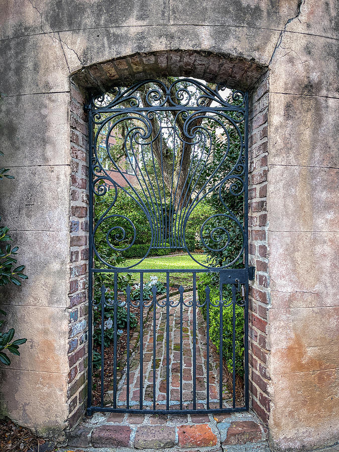Charleston Wrought Iron Garden Gate, South Carolina #2 Photograph by Dawna Moore Photography
