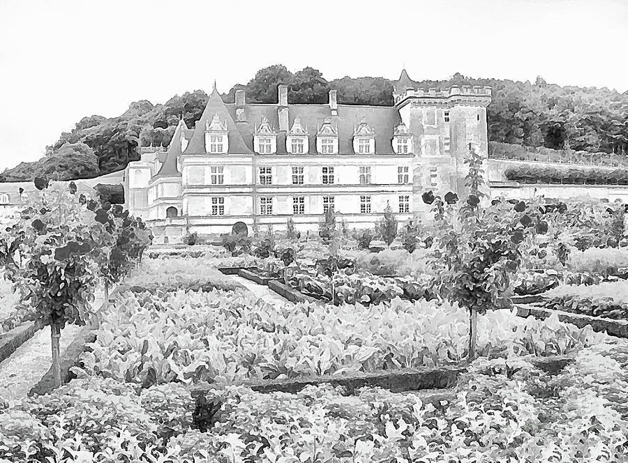 Chateau Villandry - Loire #2 Digital Art by Joseph Hendrix