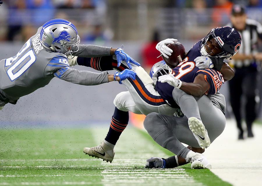 Chicago Bears v Detroit Lions #2 Photograph by Gregory Shamus