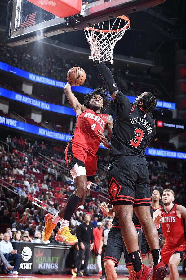 Chicago Bulls v Houston Rockets #2 Photograph by Logan Riely