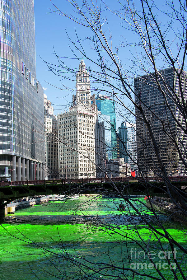 Chicago River #2 Photograph by Juli Scalzi