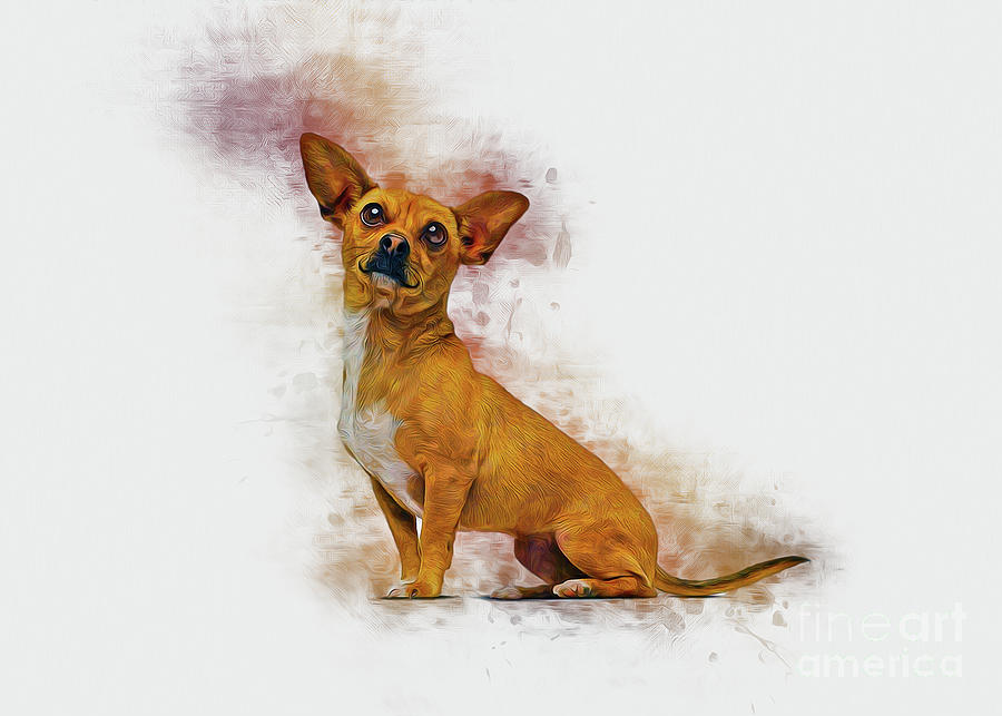 Dog Digital Art - Chihuahua Art #2 by Ian Mitchell