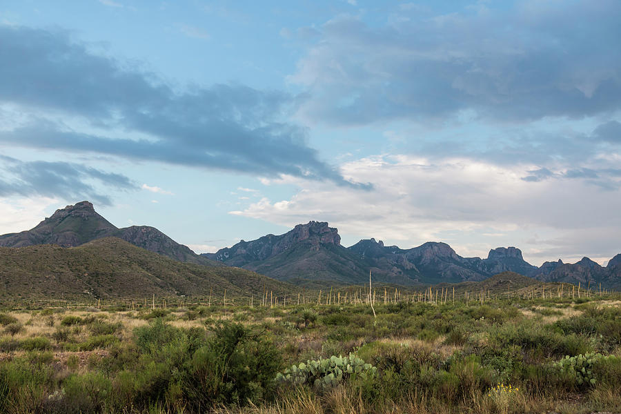 Chisos Basin in Big Bend Photograph by Patrick Barron - Fine Art America