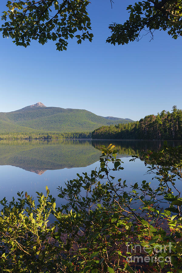 Chocorua Lake - Tamworth New Hampshire #2 Photograph by Erin Paul Donovan