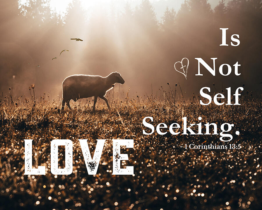 Christian Bible Verse - Love is Not Self Seeking #2 Mixed Media by Bob Pardue