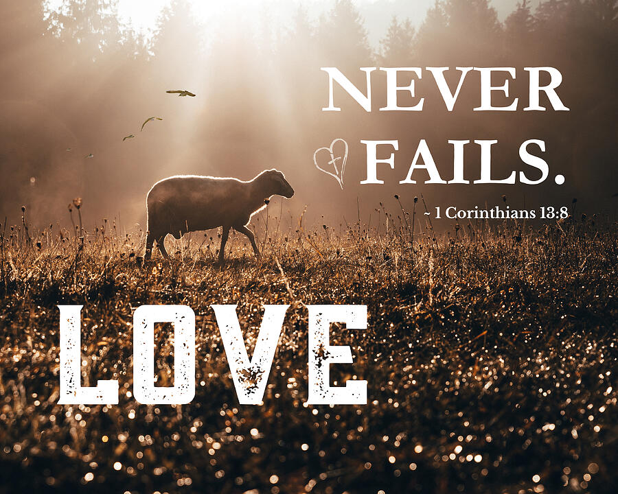 Christian Bible Verse - Love Never Fails #2 Mixed Media by Bob Pardue