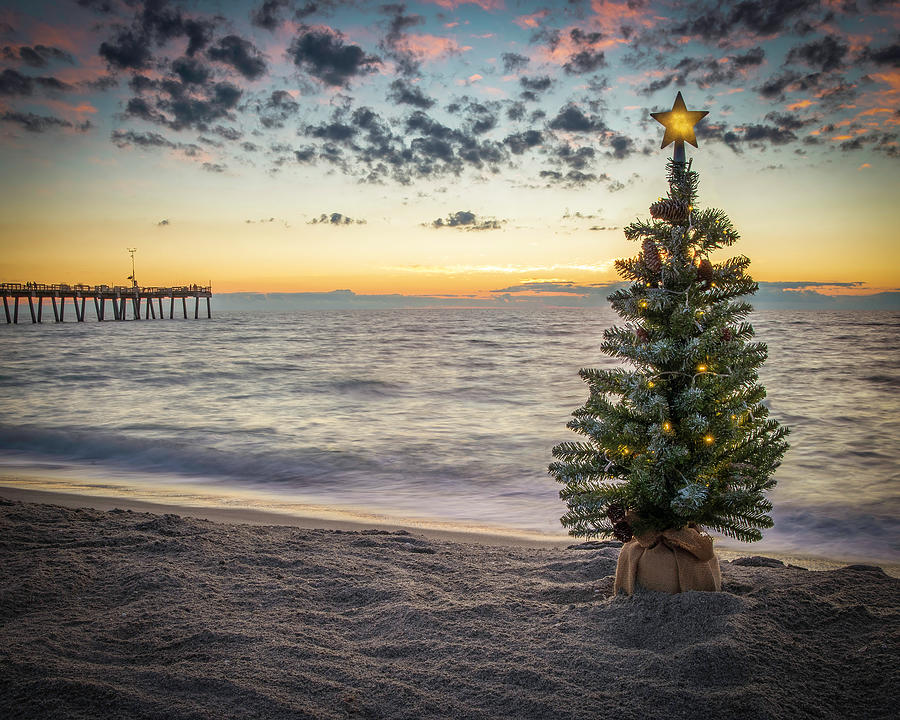 Christmas at the Beach Pier #2 Photograph by Joe Myeress