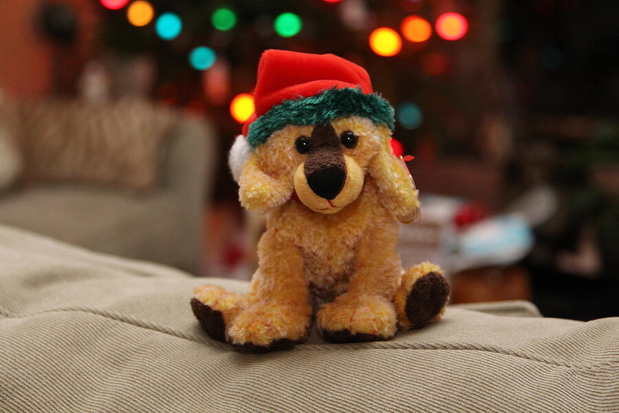 Christmas #2 Photograph by John Walsh Christmas #2 Photograph by John Walsh